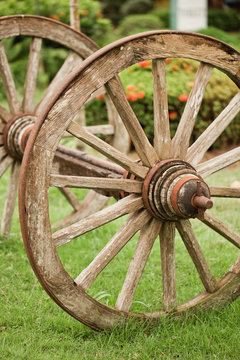 Old wood coach wheel on grass