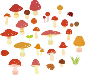 かわいいたくさんのキノコ