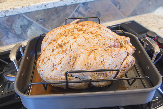 Seasoned Uncooked Turkey In Roasting Pan