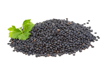 Black lentils