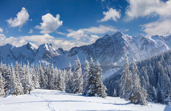 Panorama of the winter morning in the mountains