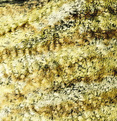 yellow artificial fur