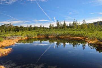 Naturschutzgebiet Löckermoor im Salzkammergut