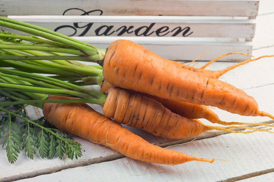 Fresh vegetables carrots