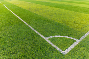 Soccer field grass