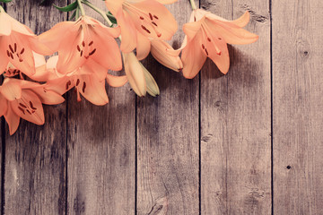 lily on wooden background