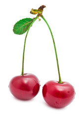 Red cherry