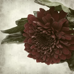 textured old paper background