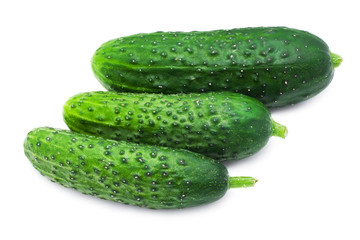 Fresh cucumber