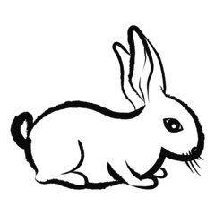 Bunny Illustration
