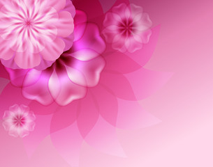 Fototapeta premium Beautiful background with pink flowers. The idea for the invitat