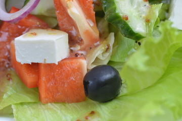 salad with fresh vegetables