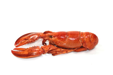 homard