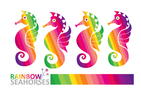 Rainbow seahorses.