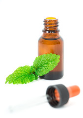 Lemon balm (Melissa Officials) essential oil isolated. - 59092605