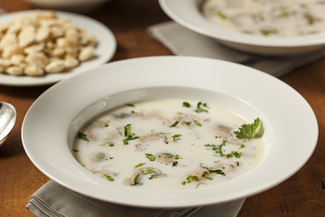 Homemade Organic Oyster Stew Appetizer