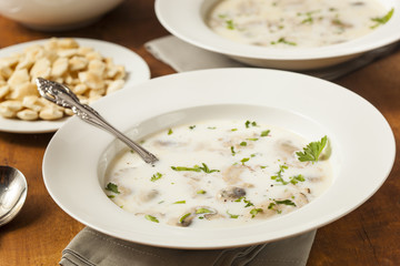 Homemade Organic Oyster Stew Appetizer
