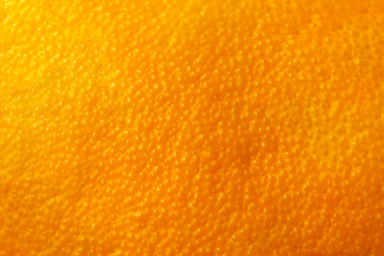 Orange fruit rind natural background, close up, macro