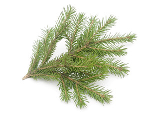 fir-tree with paper snowflake isolated on white