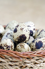 Obraz premium The basket filled with eggs of quails