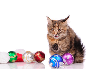 Fototapeta na wymiar funny cat with Christmas toys isolated on white
