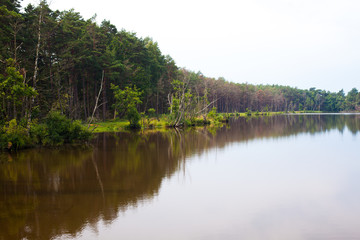 Fototapeta na wymiar calm lake water with trees in Poland