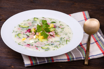 Russian okroshka with yogurt and vegetables, food