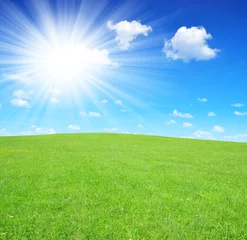 Fotobehang Spring meadow with blue sky © vencav
