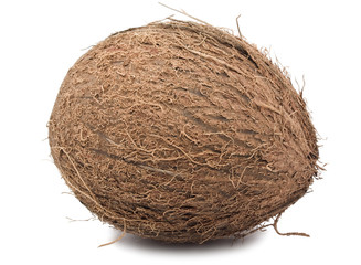 Coconut