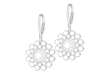 The beauty  earrings