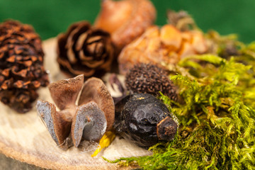 Christmas Decoration