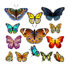 Fototapeta na wymiar Set of colorful realistic isolated butterflies.