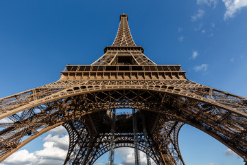 Fototapeta na wymiar Wide View of Eiffel Tower from the Ground, Paris, France