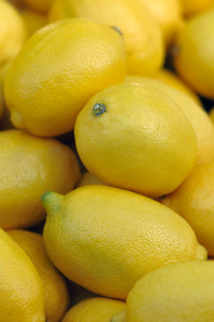 Full raw and ripe lemons on display close up