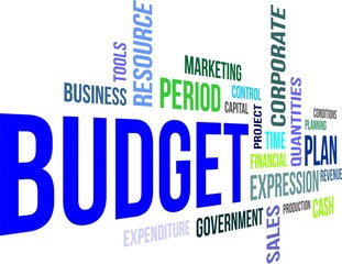 word cloud - budget