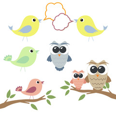 Set of owls and birds with speech bubbles