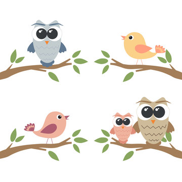 Set of owls and birds sitting on branch