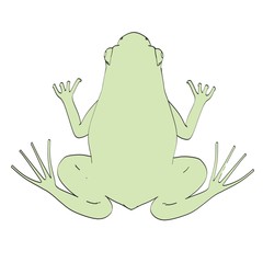 cartoon image of rana esculenta