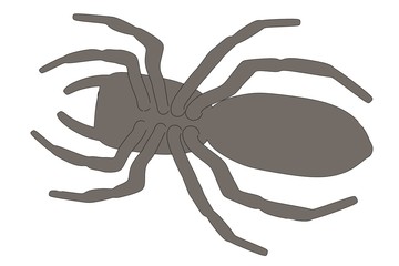 cartoon image of scalticus scenicus