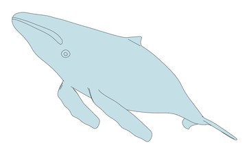 cartoon image of sea whale