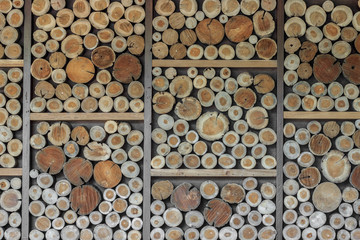 Timber floor background