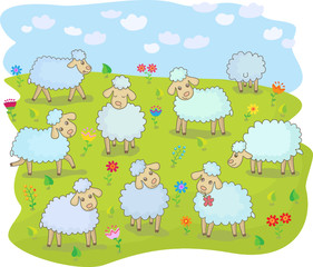 A flock of sheep in the pasture