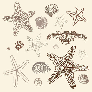 Sea Starfish set. Hand drawn vector illustration.