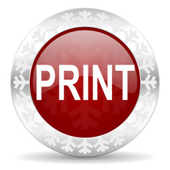 print icon