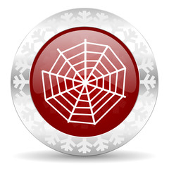 spider web