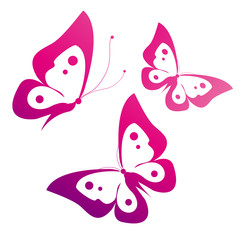 butterflies design