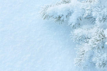 Winter background with a snow-covered tree
