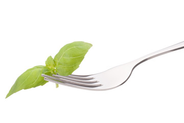 Fresh basil leaf  on fork isolated on white background cutout. H