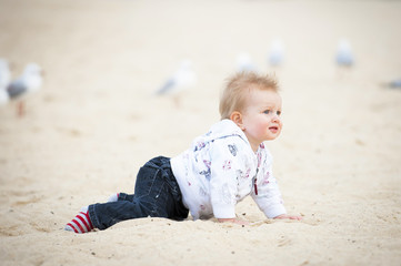 Little Kid on Sand Beach and Seagulls