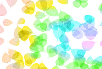 Colorful Leaves Background